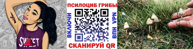 Галлюциногенные грибы GOLDEN TEACHER  маркетплейс наркотические препараты  Светлогорск 