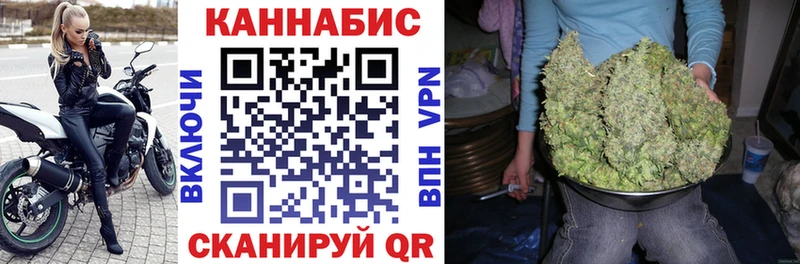 Шишки марихуана тримм  KRAKEN ТОР  Светлогорск  продажа наркотиков 